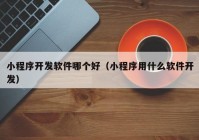 小程序开发软件哪个好（小程序用什么软件开发）