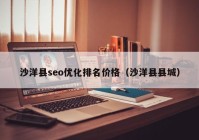 沙洋县seo优化排名价格（沙洋县县城）