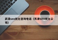 武清seo优化咨询电话（天津SEO优化公司）