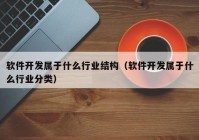 软件开发属于什么行业结构（软件开发属于什么行业分类）