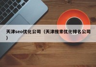 天津seo优化公司（天津搜索优化排名公司）