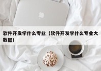 软件开发学什么专业（软件开发学什么专业大数据）