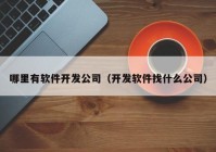 哪里有软件开发公司（开发软件找什么公司）