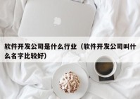 软件开发公司是什么行业（软件开发公司叫什么名字比较好）