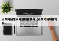 山东网站建设方案制作软件（山东网站制作定制）