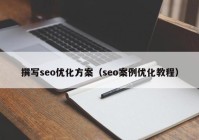 撰写seo优化方案（seo案例优化教程）