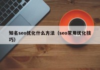 知名seo优化什么方法（seo常用优化技巧）