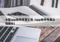 小型app软件开发公司（app软件开发公司简介）