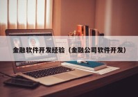 金融软件开发经验（金融公司软件开发）