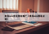 青岛seo优化排名推广（青岛seo排名公司）