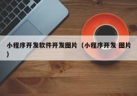 小程序开发软件开发图片（小程序开发 图片）