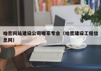 哈密网站建设公司哪家专业（哈密建设工程信息网）