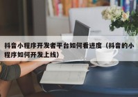 抖音小程序开发者平台如何看进度（抖音的小程序如何开发上线）