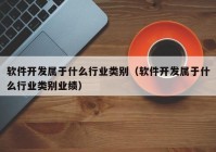 软件开发属于什么行业类别（软件开发属于什么行业类别业绩）