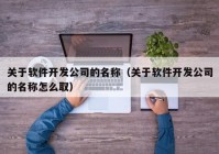 关于软件开发公司的名称（关于软件开发公司的名称怎么取）