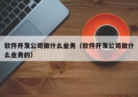 软件开发公司做什么业务（软件开发公司做什么业务的）