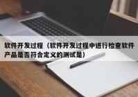 软件开发过程（软件开发过程中进行检查软件产品是否符合定义的测试是）