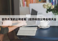 软件开发的公司名称（软件科技公司名称大全）