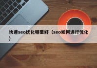 快速seo优化哪里好（seo如何进行优化）