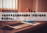 小程序开发怎么跟技术提要求（开发小程序需要注意什么）