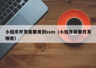 小程序开发需要用到ssm（小程序需要开发哪些）