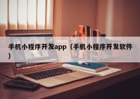 手机小程序开发app（手机小程序开发软件）