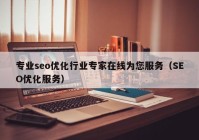 专业seo优化行业专家在线为您服务（SEO优化服务）