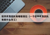 软件开发团队有哪些岗位（一个软件开发团队有些什么分工）