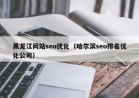 黑龙江网站seo优化（哈尔滨seo排名优化公司）